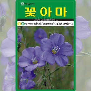 아람종묘 꽃아마 씨앗 200립 아마 꽃씨 다년생 야생화 종자