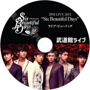 2PM DVD 2012 Six Beautiful Days LIVE junho 무도관 라이브 일본 준호 1장 세트 일본어