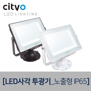 씨티오 LED노출사각투광기 LED조명, 투광기파이프L형_백색70cm