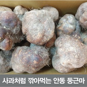 24년산 안동 둥근마 상품 5kg (정직을 배달합니다), 1개