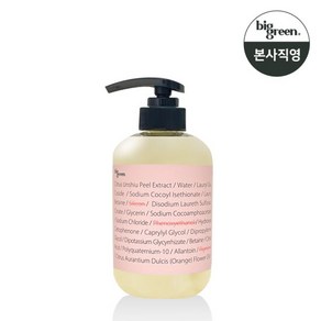 빅그린 임산부 샴푸 500ml, 1개