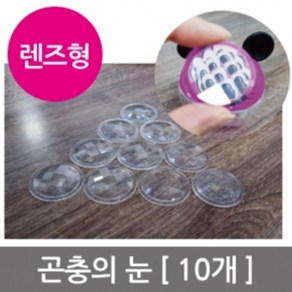 곤충의 눈렌즈 (10개) 곤충체험 중등과학 실험교구