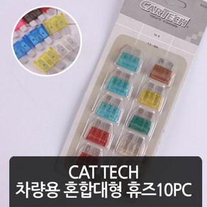 CAR TECH 차량용 혼합 대형 휴즈 10pc 40061 l 퓨즈