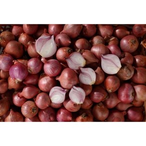  . lunuloka 모충 샬롯 미니양파 중국양파 shallot 1kg, 1개