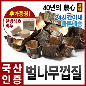 자애인 국산 벌나무껍질 600g 산청목껍질 벌나무, 1개