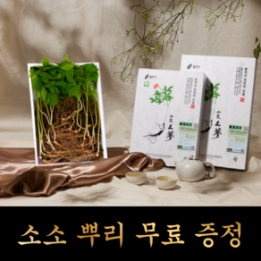 산양산삼 산양삼 산삼 7년근 제일, 대4뿌리+중4뿌리+소4뿌리+ 소소4뿌리, 1세트