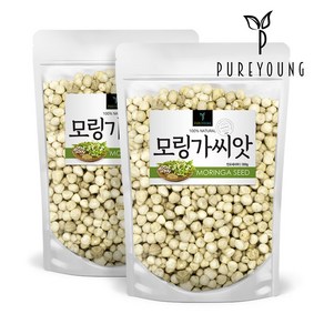 퓨어영 모링가 씨앗 300g