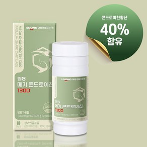 일동 메가 콘드로이친 1300 상어연골 1 300mg 60정, 1개