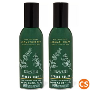 [1+1]배쓰앤바디웍스 아로마테라피 유칼립투스 스피어민트 룸스프레이 2개 세트 실내방향제 AROMA THERAPY ROOM SPRAY 2PC Eucalyptus Speamint, 42.5g