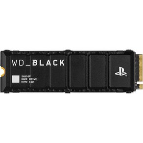 WDBLACK 8TB SN850P NVMe M.2 SSD 최대 7200MB/s 방열판 포함 PS5 콘솔용 공식 라이선스 스토리지 확장 WDBBYV0080BNCWSN, 2TB_Up to 7/300MB/s, 1개