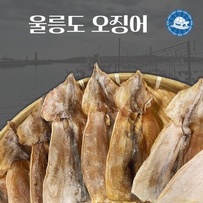 장수왕 울릉도오징어 (10마리) 500g내외 /마른 오징어 건오징어, 1개, 500g