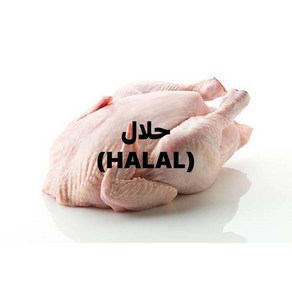 HALAL CHICKEN WHOLE(할랄통닭)육계 10마리(1마리 1100g), 냉동제품 미개봉상태에서 24시안으로 반품가능, 1.1kg, 1개