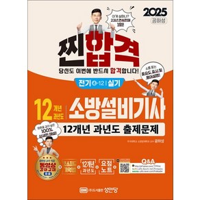 2025 찐! 합격 12개년 과년도 소방설비기사 실기 전기 4-12, 상품명