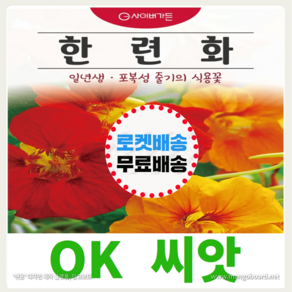 [OK씨앗] [한련화] 한련화씨앗 종자(오케이씨앗), 10립