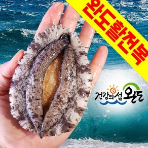 완도활전복 산지직송 완도전복 1kg 8~9마리 특대전복 VIP선물용 해수포장, 1개, 1kg(8~9마리)