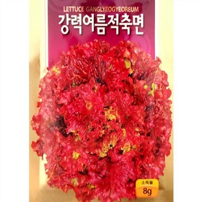 여름 적축면 상추 씨앗 (8g)