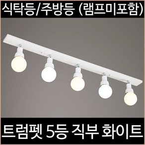 [소노조명]트럼펫 5등 직부 주방등 화이트