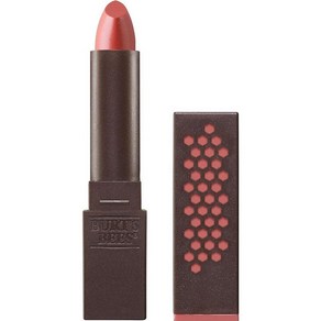 버츠비 Buts Bees 100% 천연 글로시 립스틱 누드 레인 튜브 1개, 1 Count (Pack of 1)