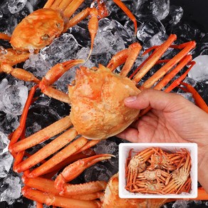 훈훈 수율 구룡포 홍게 영덕 붉은 대게, 1개, 실속 자숙홍게 2kg 6-9마리 수율70%