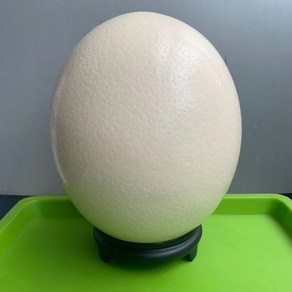 공예용 타조알 껍질 2개 타조알조각 달걀공예 부활절장식 실내장식