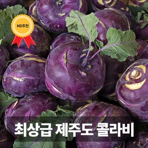 청담농수산 당일수확 농장직송 프리미엄 제주 특품 콜라비, 1개, 5kg