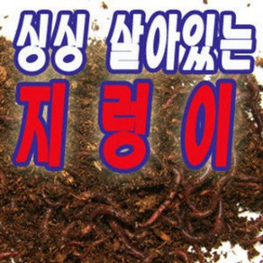 파란낚시 싱싱 살아있는 지렁이 구더기 갯지렁이 실습용, 흙 (지렁이흙) 130g, 1개