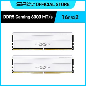 실리콘파워 Silicon Power DDR5-6000 CL30 PC5-48000 데스크탑 메모리키트