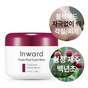 인워드 크림 마스크 머드 모공팩 100g, 1개, 1개입