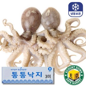 활낙지 3미 5.1kg (박스), (박스)활낙지 3미(850g x 6), 1개