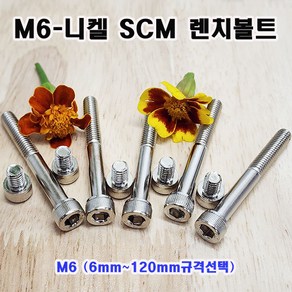 (샤인몰) SCM 435 니켈 렌치볼트 M6 (6~120mm규격선택) 무료배송/소량 낱개/대량판매, 55mm, 1개