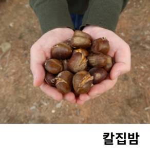 24년 달콤한 햇 약단밤 칼집밤 1kg 2kg 3kg 4kg 5kg 6kgk 7kg 8kg 9kg 10kg (원산지:중국), 1세트