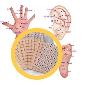 귀지압패치 [손가락마사지기 증정이벤트] 귀침 붓기침 채령귀침 지압스티커 다이어트패치 다이어트귀침 혈자리패치 혈자리테이프 이혈기석 지압테이프, 20개, 60개입