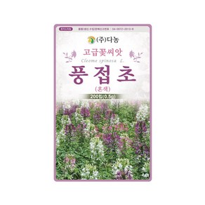 (DN) 풍접초(혼색) 씨앗(0.5g), 1개