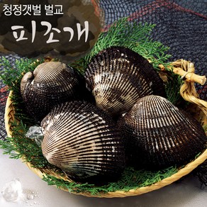 보성 벌교여자만 피꼬막 2kg (상품)/산지직송, 상세 설명 참조, 1개