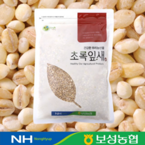 보성농협 국산 늘보리 1kg 2024년산, 1개