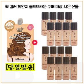 퀵컬러 골드브라운 2개 구매시 샘플 진설수+유액2종 각 5mlx8개, 1개, 12ml