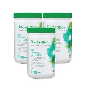 오가니카 Oganika 퓨어 마린 콜라겐 Maine Collagen 250g x3, 3개