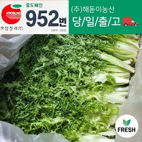 <해돋이농산> 국내산 치커리 쌈야채 2kg내외, 1박스, 2kg 내외