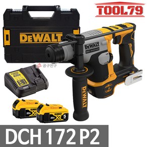 디월트 DCH172P2 충전 로타리 햄머 드릴 20V MAX 5.0Ah*2개 SDS-Plus 브러쉬리스, 2개