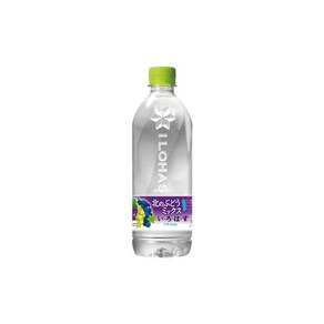 코카콜라 이로하스 포도향 워터 540ml, 24개