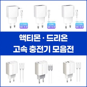 [Fillyo]엑티몬 / 드리온 가정용 고속 충전기, D22. 드리온 가정용 2.1A (USB포트)(C타입)