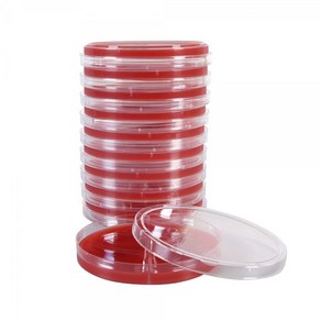 (낱개상품) 미생물 성장배지 세균증식용 배지 Blood Aga Plate