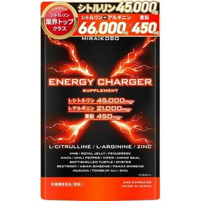 MIRAIKOBO ENERGY CHARGER 시트룰린 아르기닌 아연 사프리 시트룰린45000mg아르기닌21000mg아연450mg, 1개, 240정