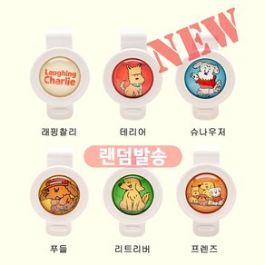 래핑찰리 이지 세이프 클립, 3ml, 2개