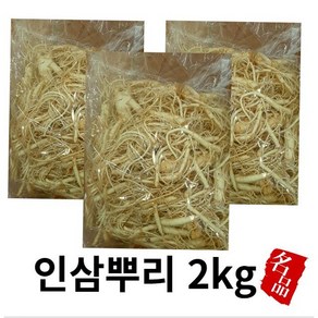 수삼뿌리 삼뿌리 인삼뿌리 2kg 수삼파삼 인삼 인삼뿌리 미삼, 1개