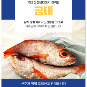 [산지직송] 청정 바다에서 어획한 금태(3미 총600g) (2미 총800g), 1세트, 600g