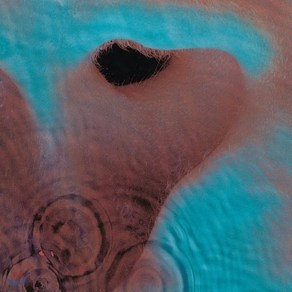 [CD] Pink Floyd (핑크 플로이드) - Meddle : 스튜디오 6집