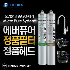 에버퓨어 EVERPURE 정품 필터 & 헤드 DIY 모음, 파우셋 04_올스텐 파우셋, 1개