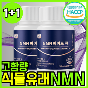 자연새긴 식물성 NMN 엔엠엔 파이토 큐 식약처 HACCP, 2개, 60정