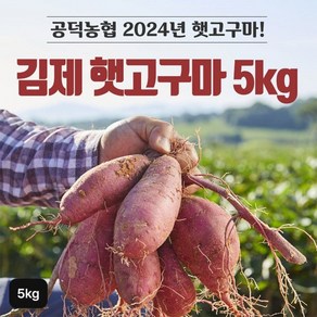 2024년 김제 햇 밤고구마 5kg1박스[34486303], 1개